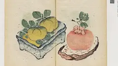 这本历史悠久的中国艺术家手册于1633年出版，是历史上最古老的多色书。印刷的图像给人以水彩画的感觉。这本书分为八个类别：鸟类，李子，兰花，竹子，水果，石头，水墨画和杂项。郑焱在明代精制了他的色彩印刷技法，其中“书画手册”  是他最成功的作品。 ​​​​