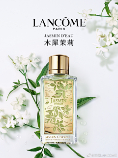 氤氲晨光的仰望采集到溶图参考