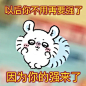 chiikawa发疯表情包第十弹_3_睡觉的西兰花_来自小红书网页版