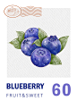水彩画，蓝莓，贴纸，邮票