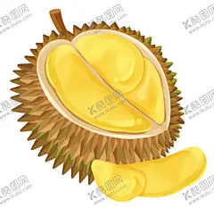 手绘榴莲素材 【酷图网】手绘榴莲插画,手绘卡通榴莲,卡通榴莲插画,卡通榴莲素材,手绘榴莲素材,榴莲素材,榴莲分层素材,一个榴莲,一只榴莲,特写,榴莲,手绘榴莲,矢量榴莲,卡通榴莲,榴莲肉,切开的,切开,掰开的,打开的,卡通水果,手绘,风格,矢量,水彩,AI,水果,矢量水果,水墨,插画,工笔,画,卡通,素材,设计素材