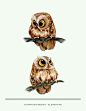 Pin page