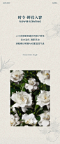 9.9元喝新品！东方栀晓，知晓东方