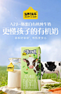 认养一头牛A2β酪蛋白有机儿童纯牛奶整箱宝宝牛奶学生早餐奶-tmall.com天猫