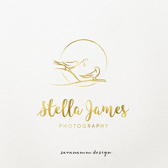 birds logo photograp...