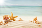 夏日海滩海星高清图片 - 素材中国16素材网