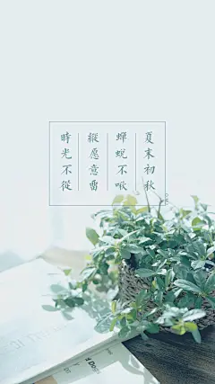 文字控手机壁纸。励志壁纸。