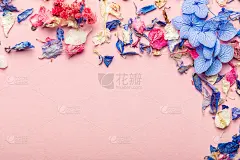 干花制成的可生物降解的纸屑