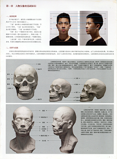 哈利璐璐呀HL采集到教程