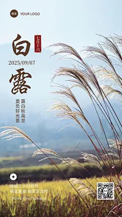 白露金融保险节气祝福实景风手机海报AIGC