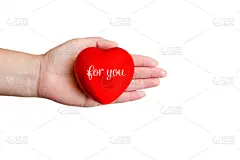 蜜月,可爱的,华丽的,贺卡,背景分离,浪漫,情人节卡,简单,婚礼,拿着