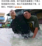 来点没见过的吊图，吧里的看腻了_吊图吧_百度贴吧
