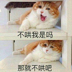 叶梓汐-Elaine采集到表情包