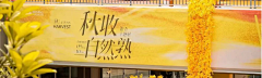 鱼pi采集到海报