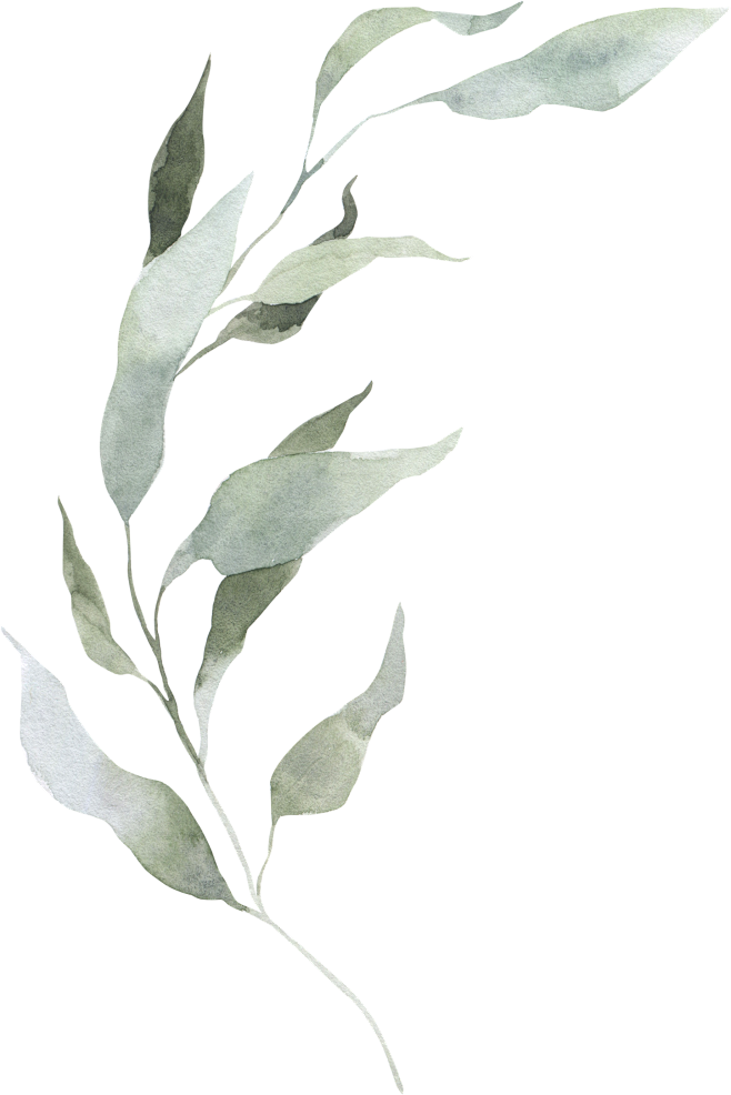 水彩清新花卉植物LOGO图标婚礼海报装饰...