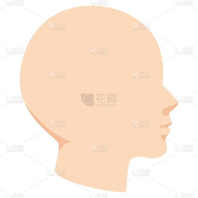 Human head in profile素材-花瓣网
