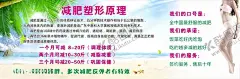 减肥塑型 【酷图网】减肥塑型,瘦身,海报,名片,瘦身名片