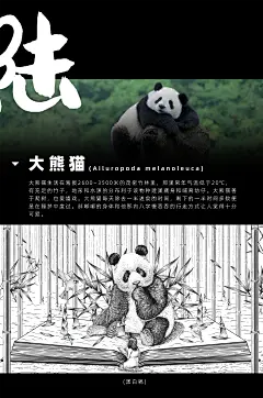 生命记忆-版画风格珍稀动物插画海报-大熊猫-金雕-玳瑁-古田路9号-品牌创意/版权保护平台