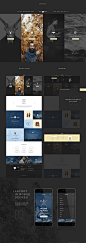 Hydrus : Hydrus is a clean and trendy PSD Template. Composed by grid based PSD’s. Can be used for a lot of type of websites, like modern corporative pages, blogs, shops, and trendy personal pages.