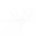 采集图片