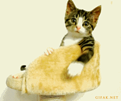 ◇（黑）◆采集到搞笑GIF
