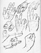 素描画手的方法及手的解剖结构