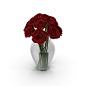 Roses PNG & PSD Images