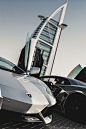 Aventadors in Dubai