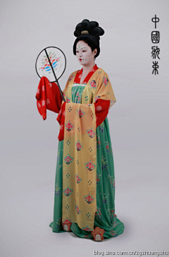 夏日酸梅采集到61：6：1衣：夏：唐 披肩/背子+薄短衫+裙