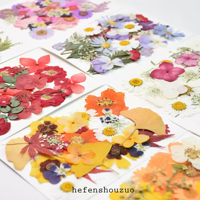 干花压花组合素材包少儿手工diy制作材料团建节日活动真花滴胶ins-淘宝网图片_咋乱图片素材-花瓣网
