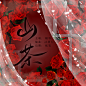 非商仅练习（约稿私信说（加V或Q））
@沽酒七
关注可采集，不可改文案
字：不知
素材：半次元……
美工：@沽酒七
非商仅练习（约稿私信说（加Q：2405727692））