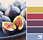 Design Seeds® | find your palette