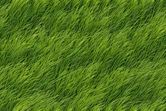 自然风光绿茵场图片