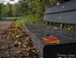 Photograph Colours of Autumn by Sandeep VS on 500px