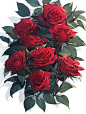 manyanlin_red_roses_with_dark_green_leaves_on_a_white_backgroun_536eb5a8-ec89-4ccb-b45b-bfdbf716bc1d