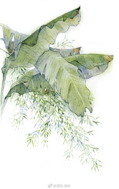 夏也末采集到古风国风水彩国画