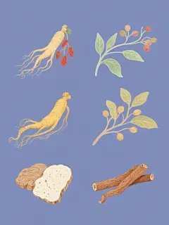 一系列6个不同中药元素的插画，保持统一的清新手绘风格，每个元素独立在纯色背景上，整体色彩变换多样。包含人参、枸杞、当归、黄芪、茯苓、甘草，每个中药都有精细的线条勾勒，自然的光影效果，搭配飘逸的曲线和点缀的果实或叶片，元素排布规整，形成和谐统一的中药素材集合。
