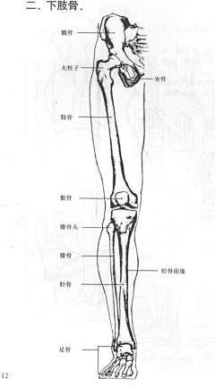 ♔李大人统治世界采集到人体学习