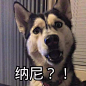 字媒体