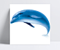 蓝色海豚动物元素|蓝色海豚,动物元素,动物设计素材,动物免扣素材,动物元素素材,动植物元素,免抠元素