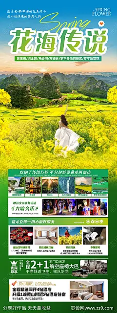 油菜花旅游海报-源文件-志设网-zs9.com