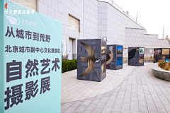 安能知晓到天明采集到文化墙历史墙