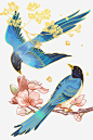 喜鹊手绘中国风鸟