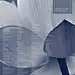 采集图片