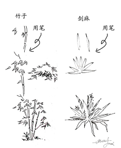 chenin__n采集到花卉参考