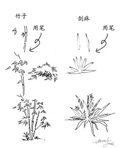 手绘教程、