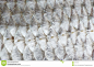 Macro Shot Of Roach Fish Skin Stock Image - Image: 14319357 : Photo about Macro shot of roach fish skin, natural texture, lateral line is seen - 14319357