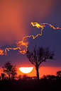 日落，南非克鲁格国家公园