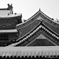 《雪花古韵》