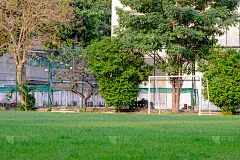 足球门和小绿草坪旁的建筑排练话剧